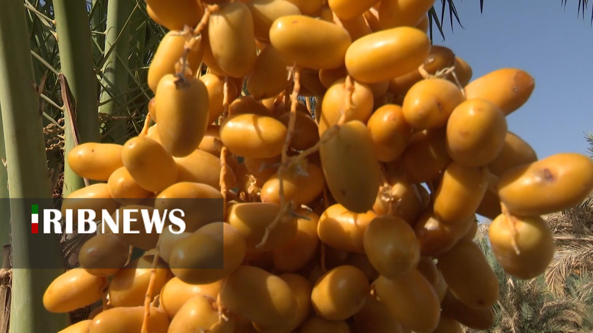 پیام سپاهان