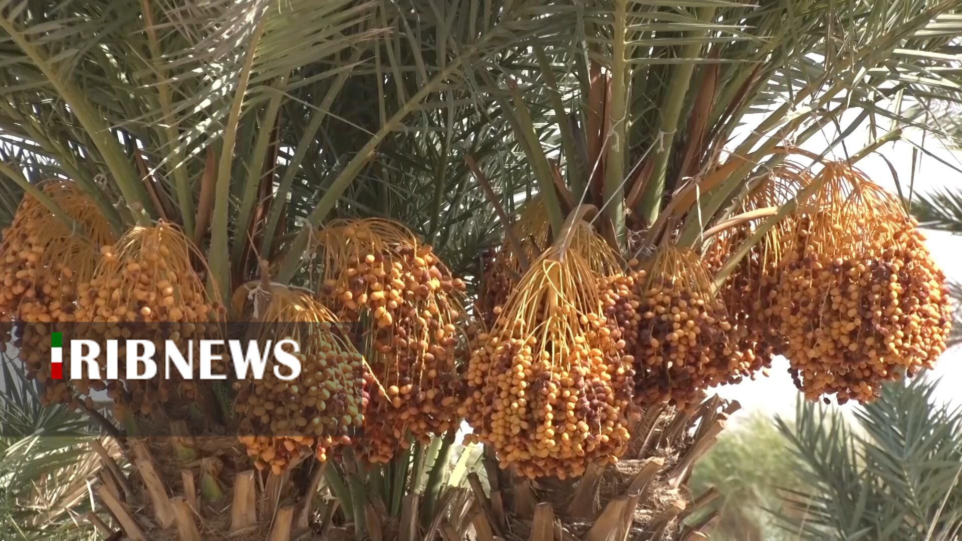 پیام سپاهان