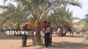 پیام سپاهان