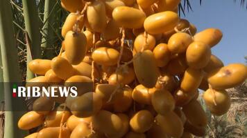 پیام سپاهان