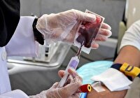 نیاز استان به همه گروه های خونی