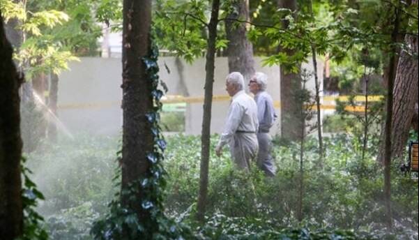 اشتغال بازنشستگان در تاکسی‌های اینترنتی قانونی می‌شود