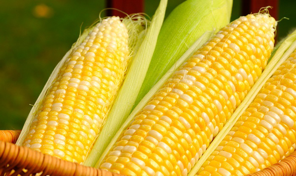 پیام سپاهان