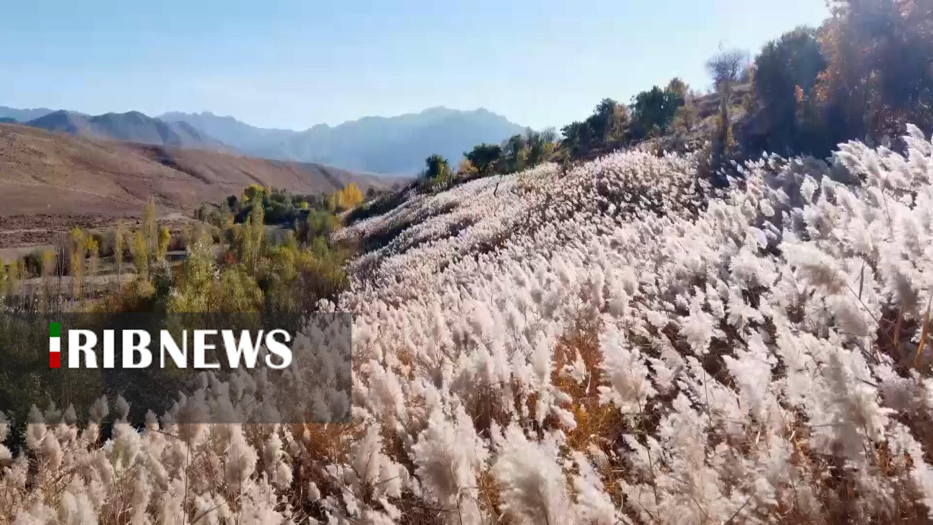 پیام سپاهان