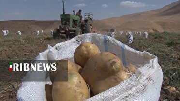 تأمین نهاده‌ها و تلاش برای حل کمبود سوخت کشاورزی