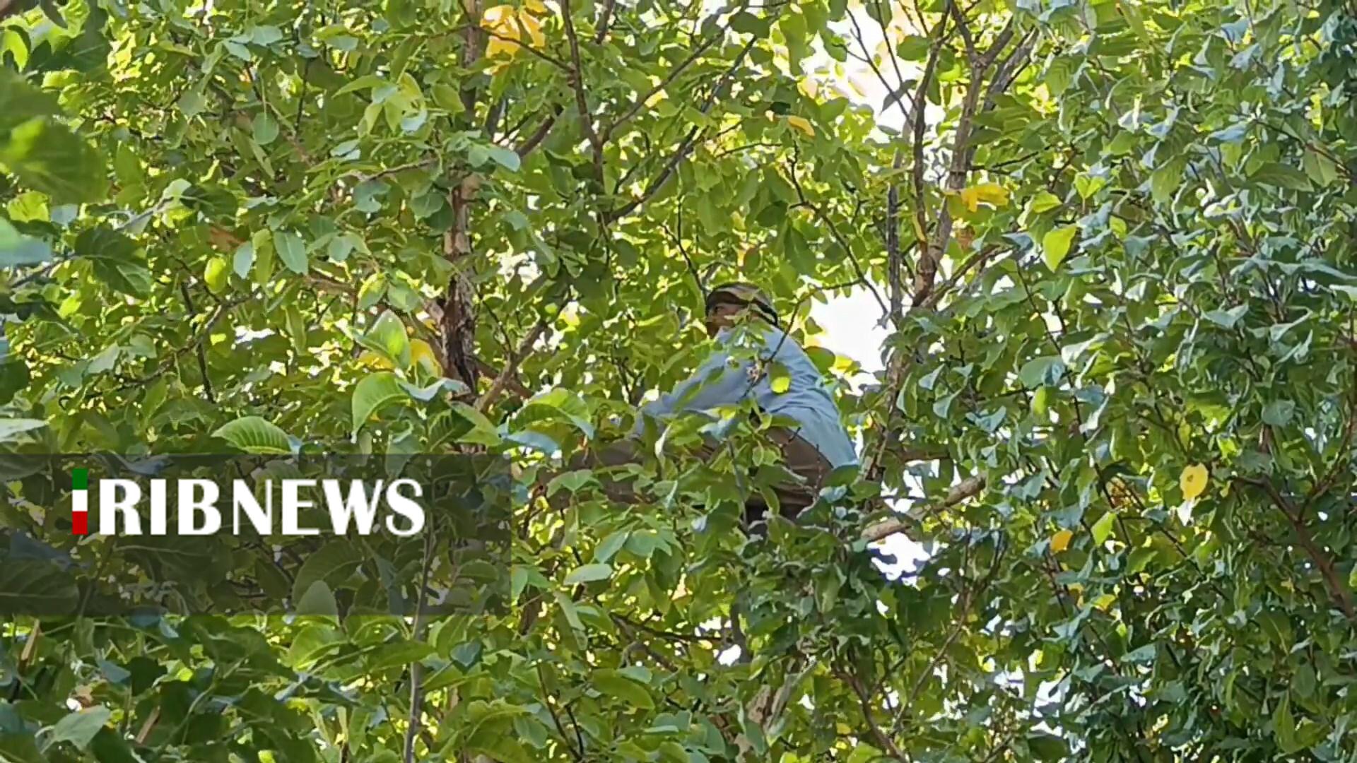 پیام سپاهان