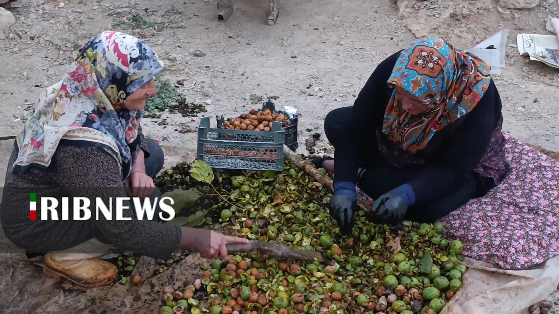 پیام سپاهان