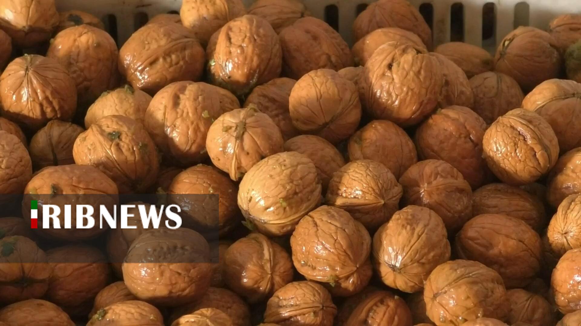 پیام سپاهان