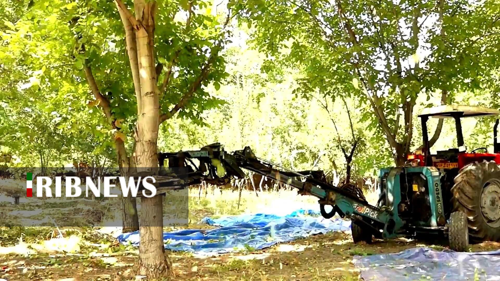 پیام سپاهان