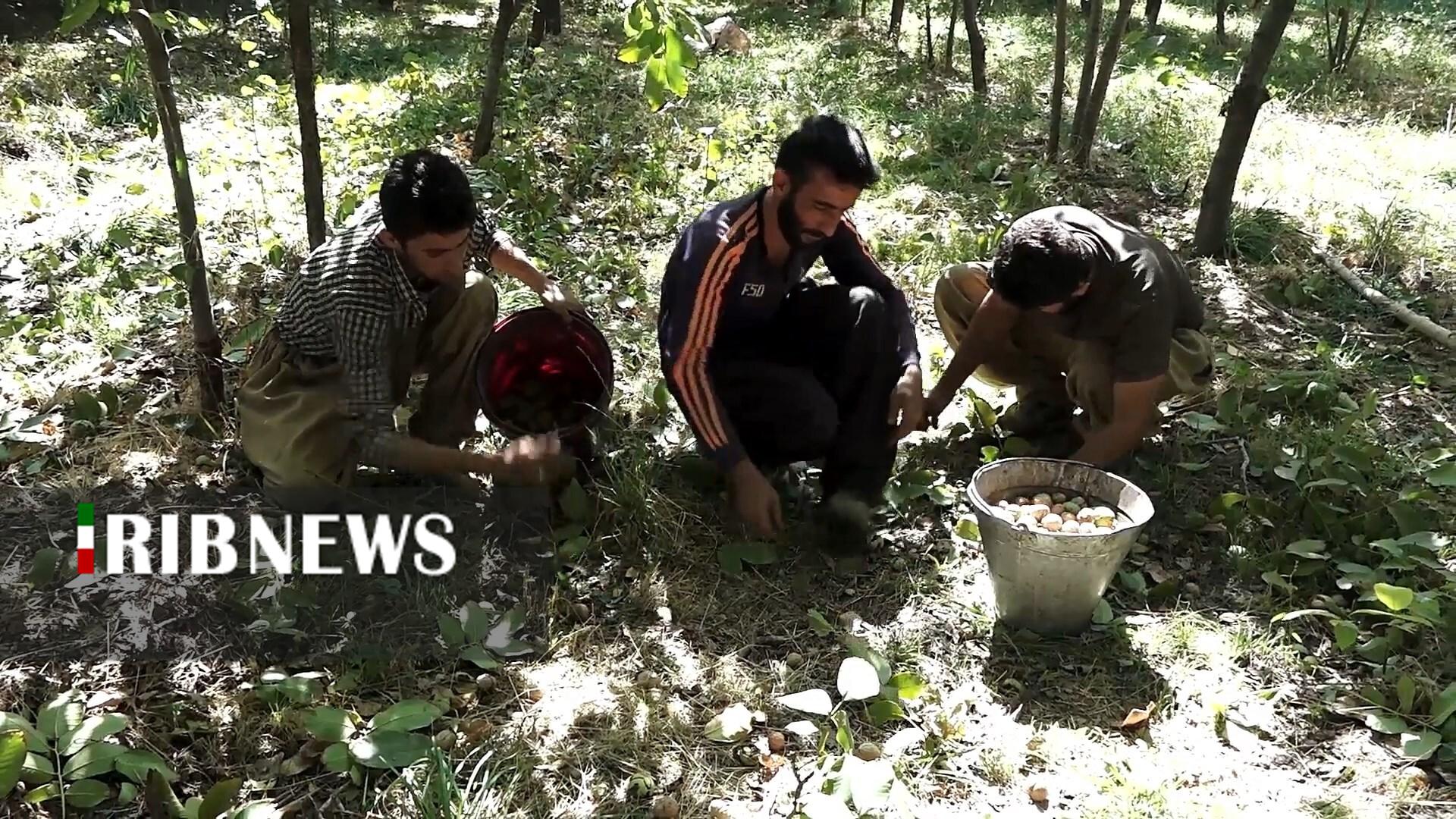 پیام سپاهان