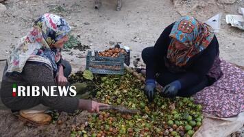 پیام سپاهان