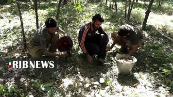 پیام سپاهان