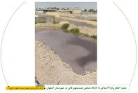 صدور اخطار رفع آلایندگی به کارگاه صنعتی شستشوی قالی در اصفهان
