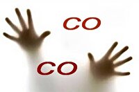 گازگرفتگی دو نفر در لنجان