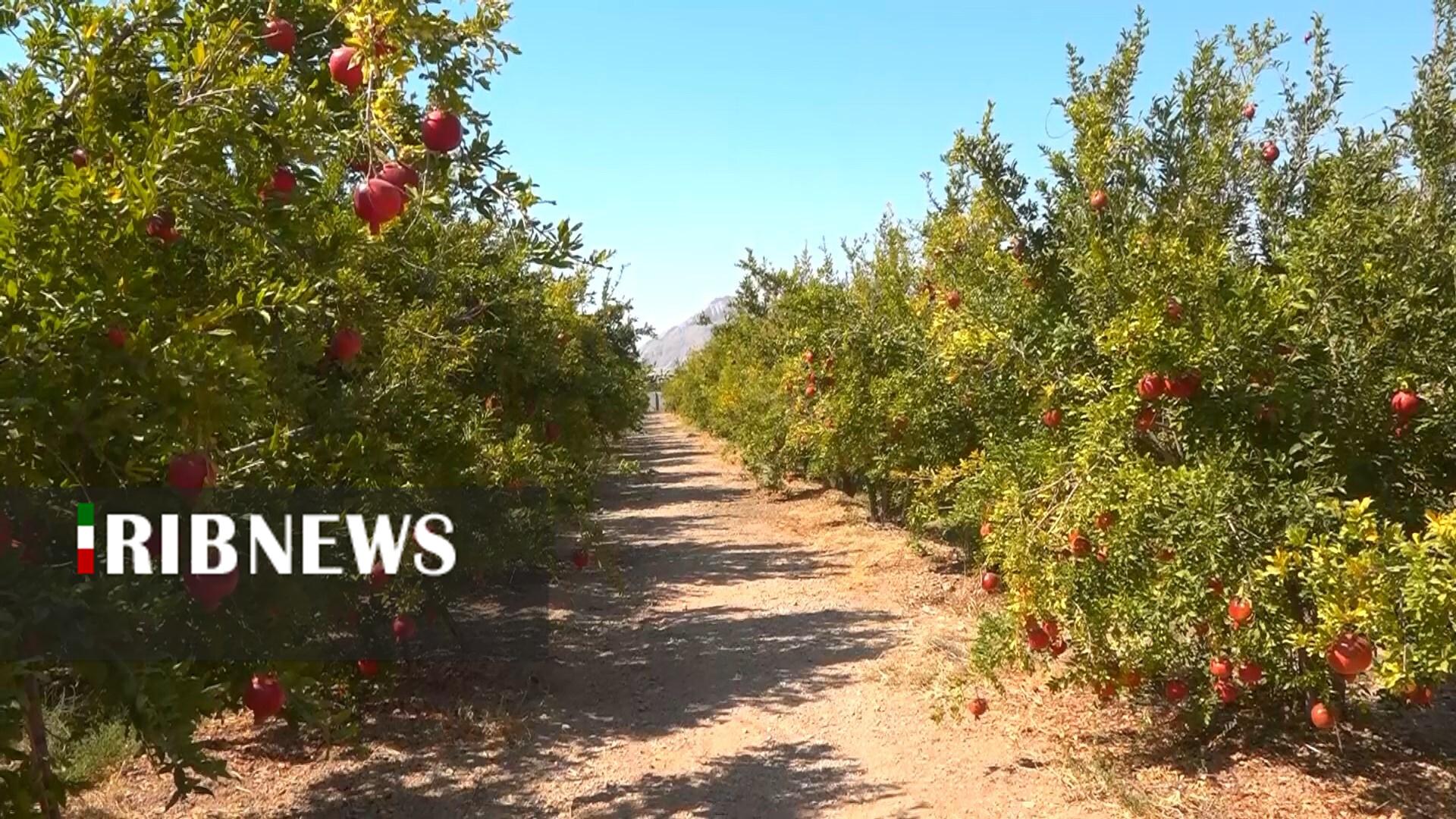 پیام سپاهان