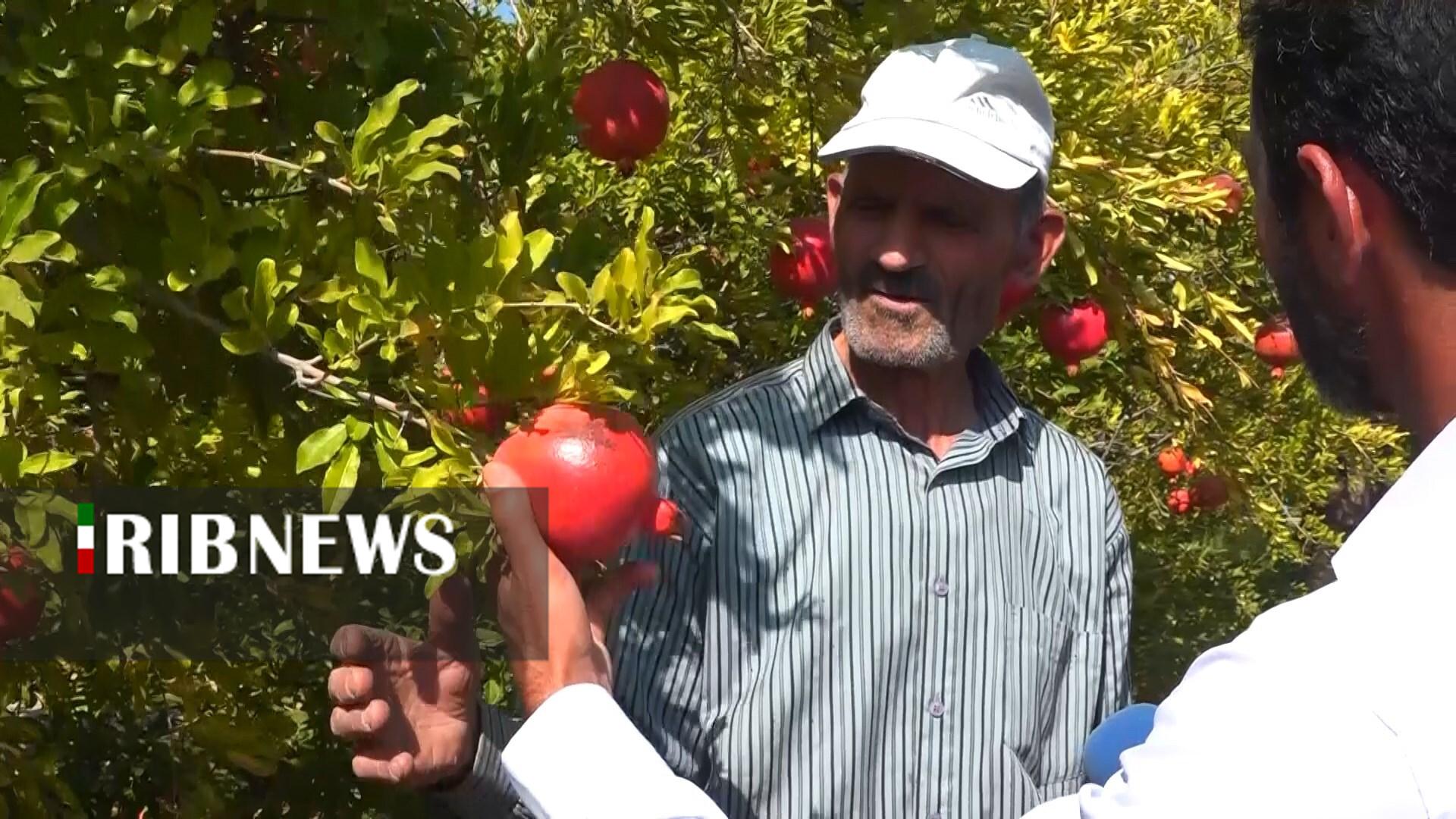 پیام سپاهان