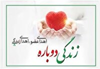 اهدای اعضای بیمار مرگ مغزی جان به سه بیمار نیازمند