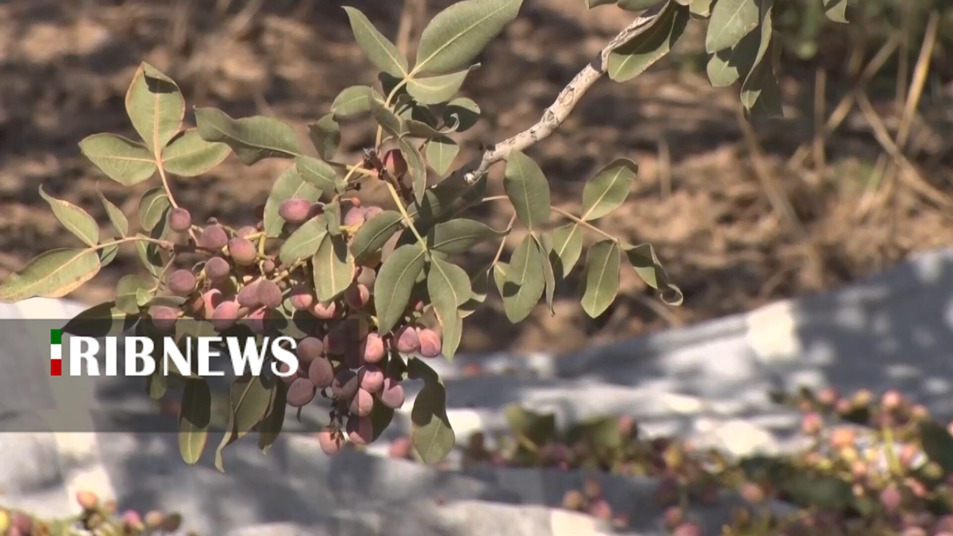 پیام سپاهان