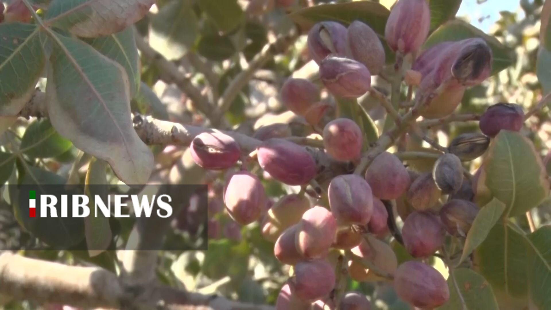 پیام سپاهان