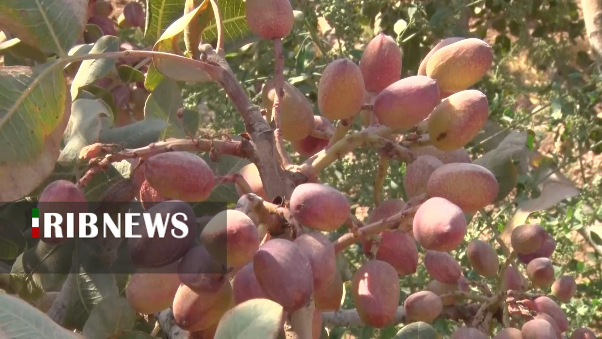 پیام سپاهان