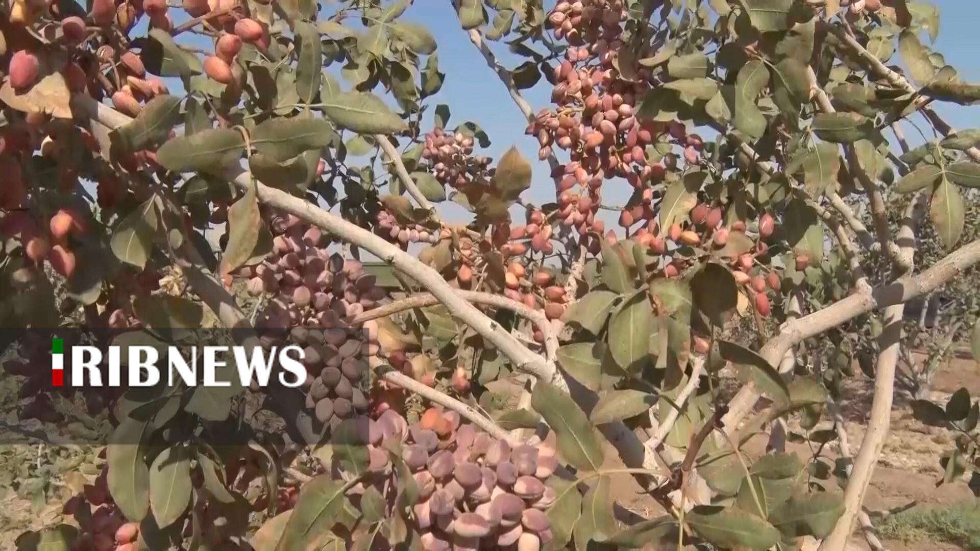 پیام سپاهان