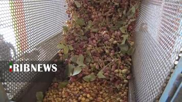 پیام سپاهان