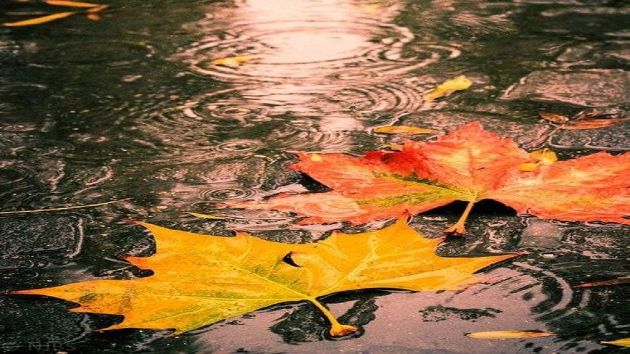 موج بارش‌ها از شنبه آغاز می‌شود