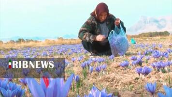 پیام سپاهان