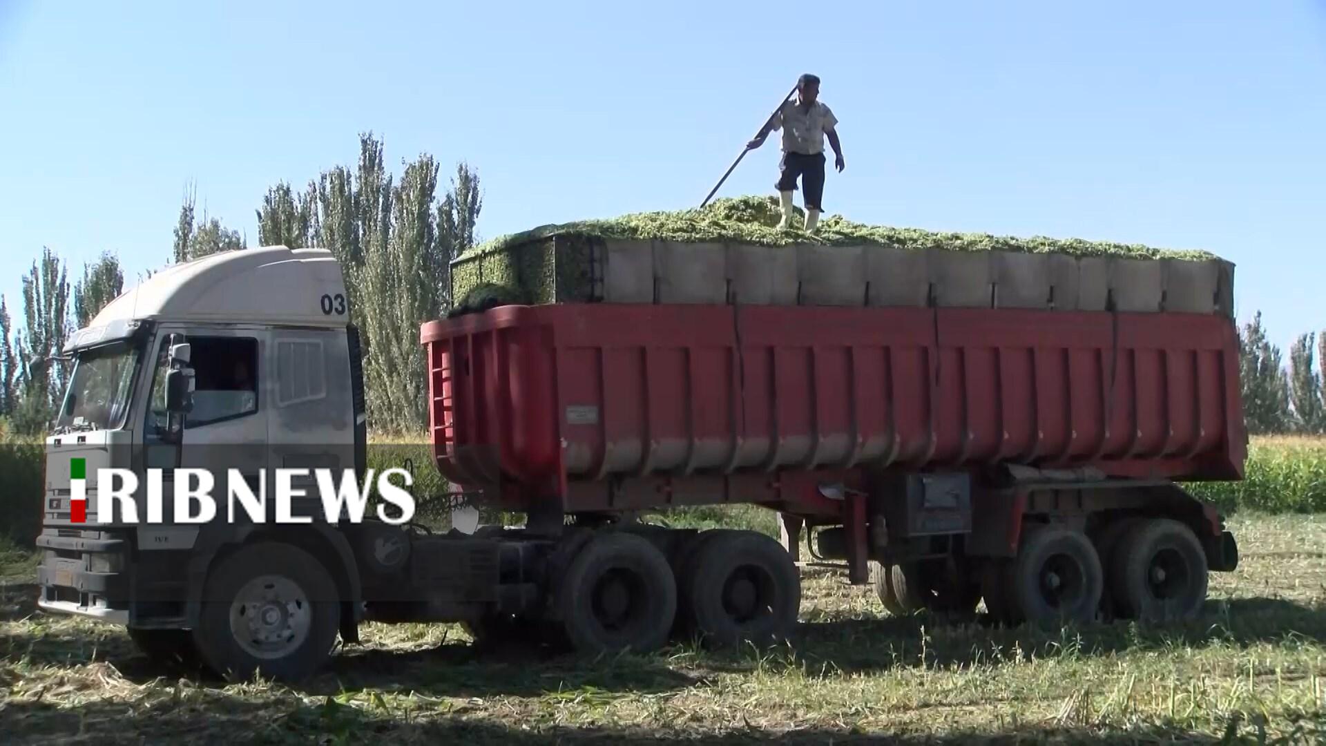 پیام سپاهان