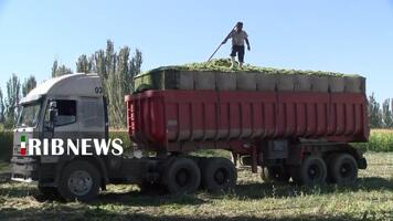 پیام سپاهان