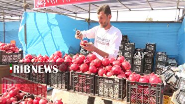 هشتمین جشنواره یاقوت‌های سرخ بهشتی در پایتخت ایران