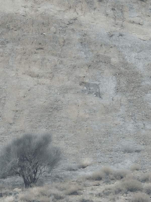 پیام سپاهان