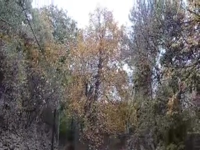 فیلم/ باران به قلب ایران رسید