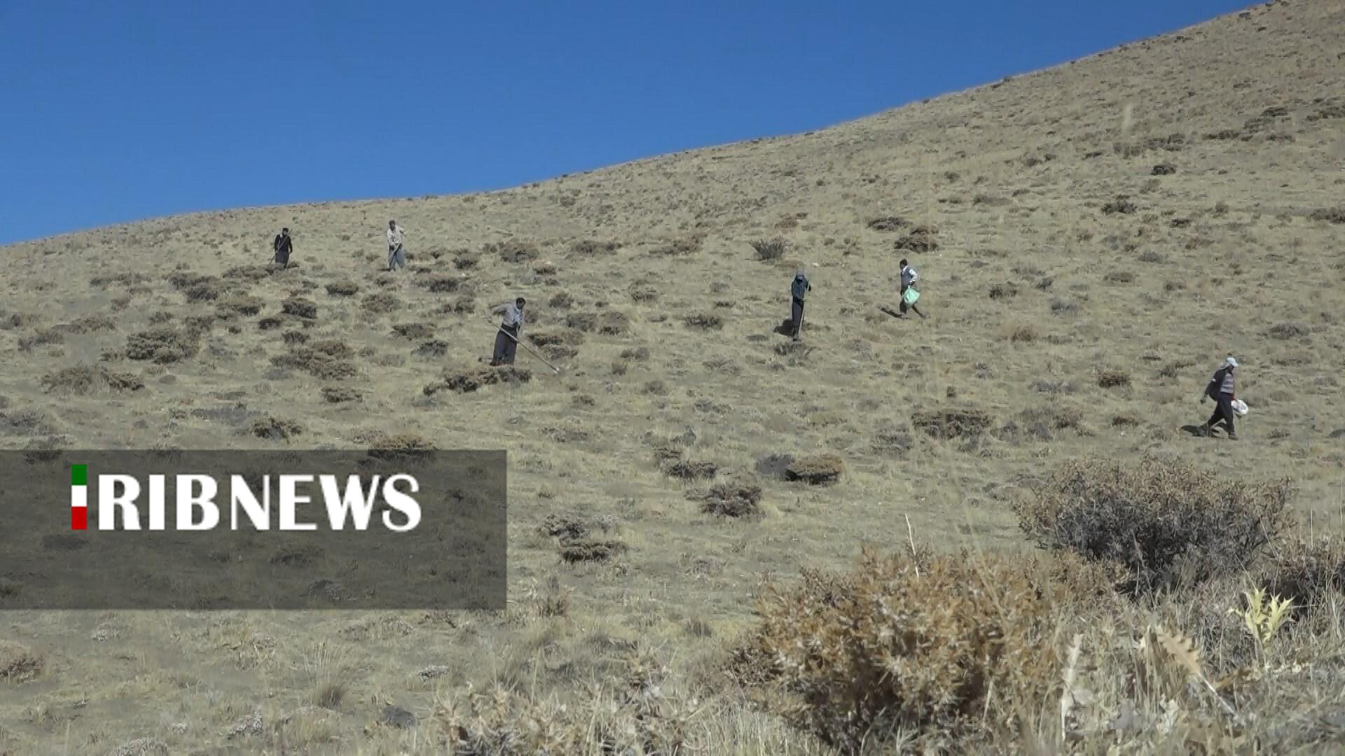 پیام سپاهان