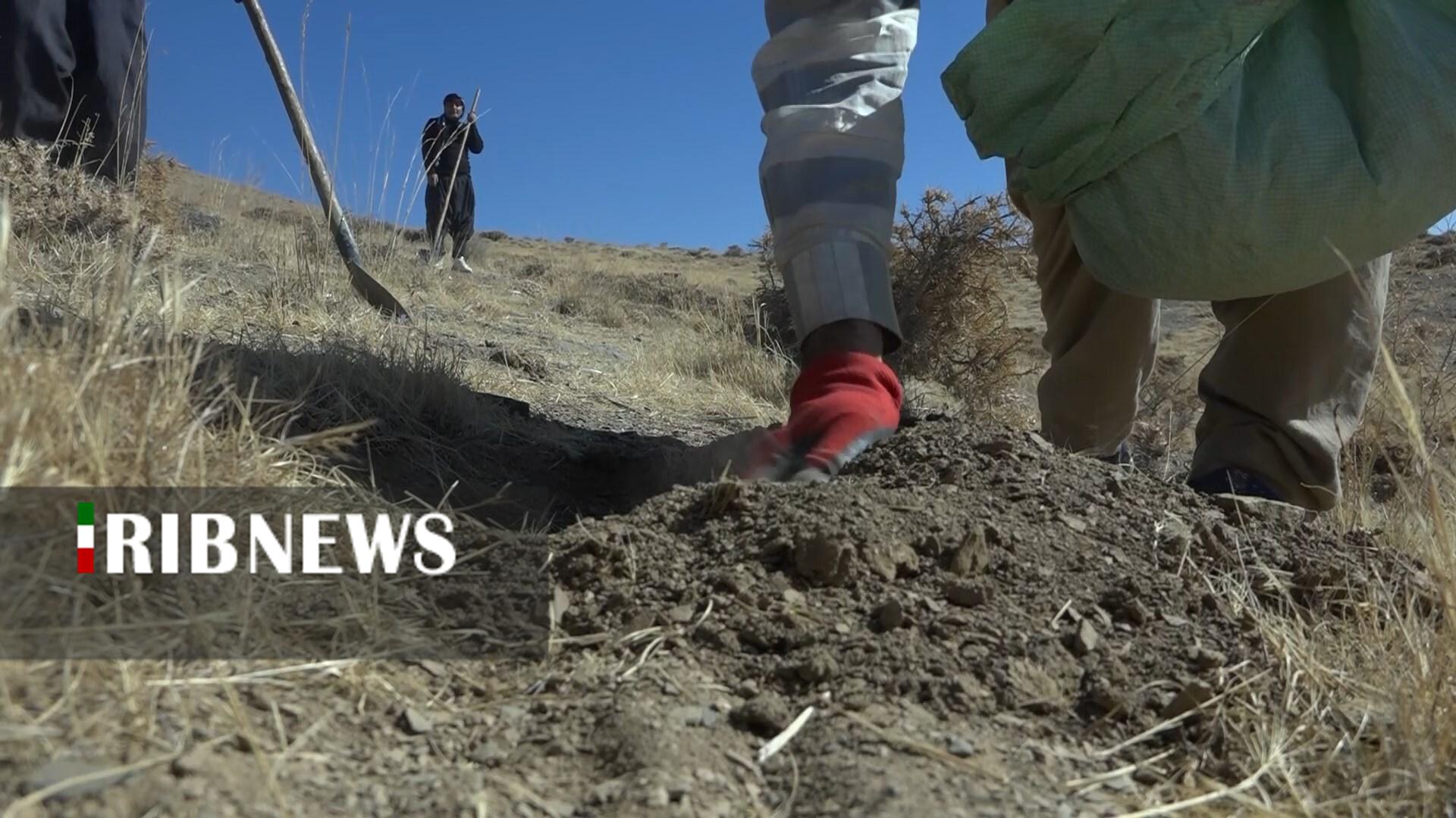 پیام سپاهان