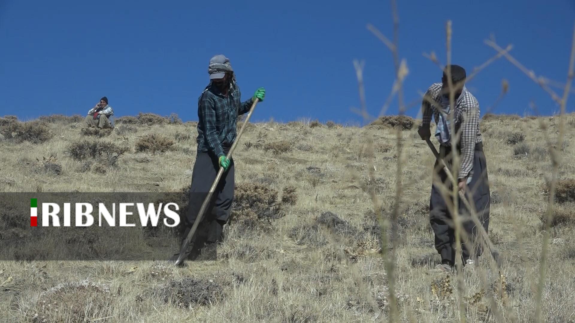 پیام سپاهان