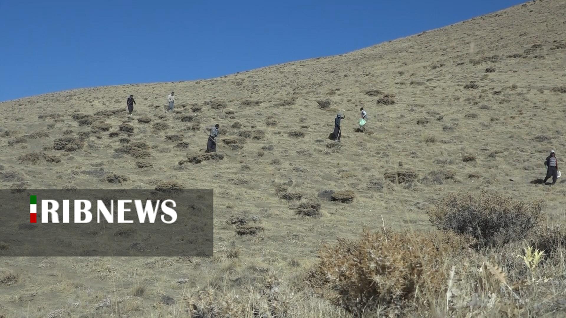 پیام سپاهان