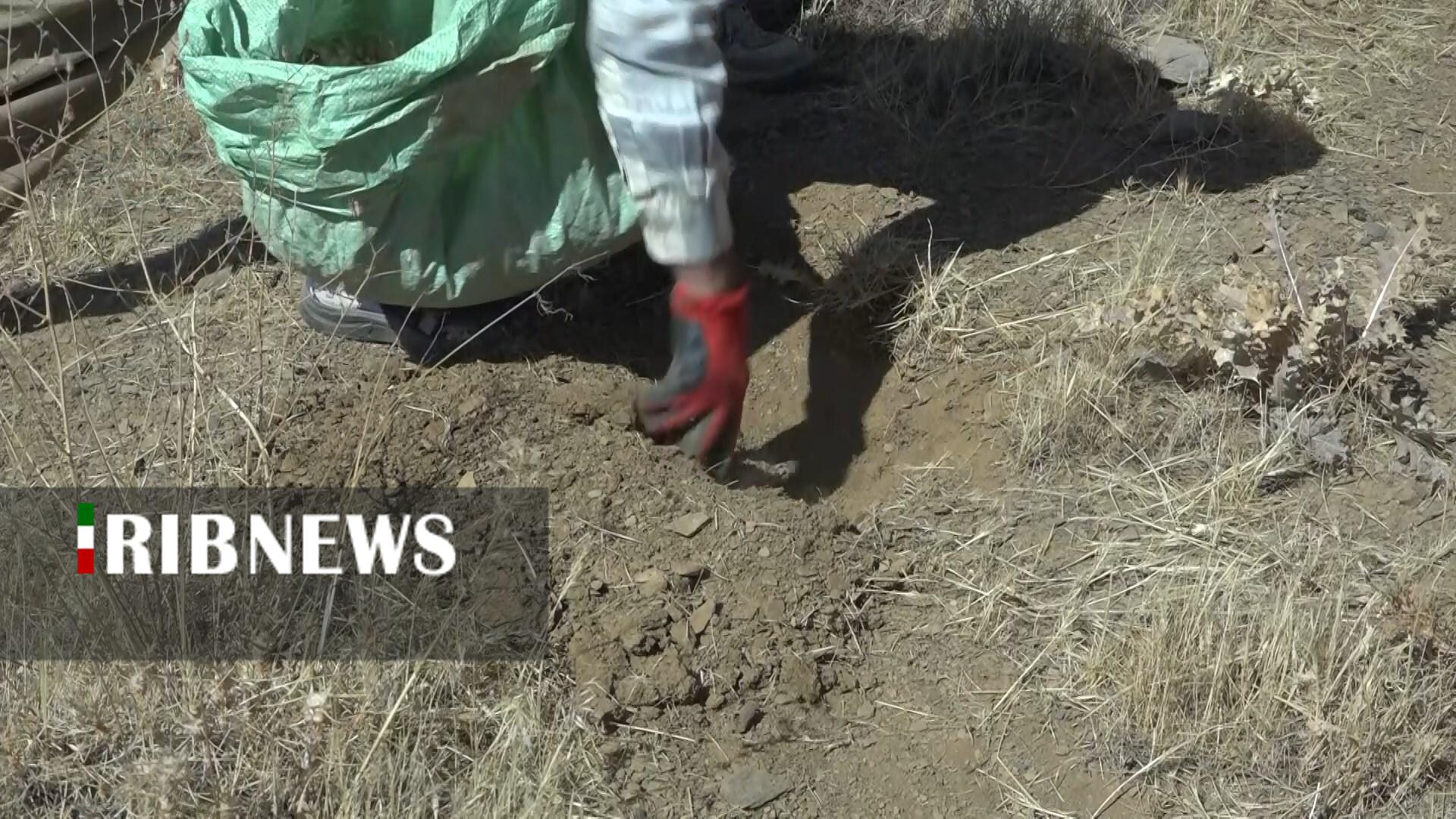 پیام سپاهان