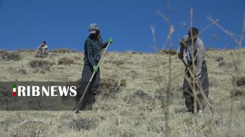 پیام سپاهان