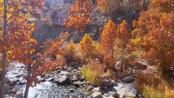 پیام سپاهان