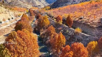 پیام سپاهان