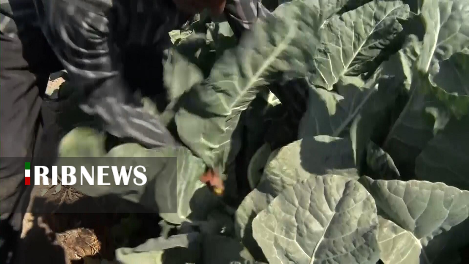 پیام سپاهان