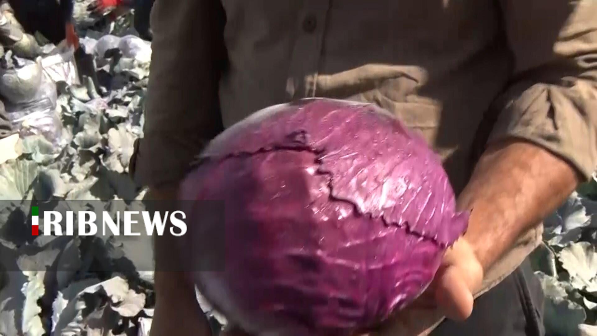 پیام سپاهان