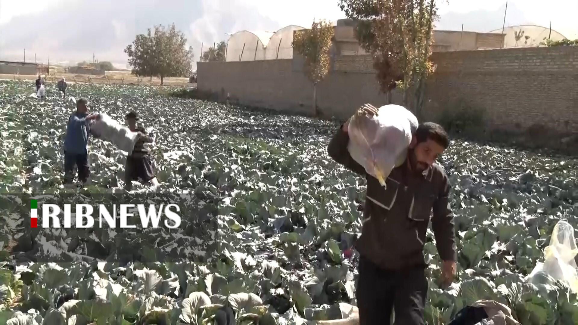 پیام سپاهان