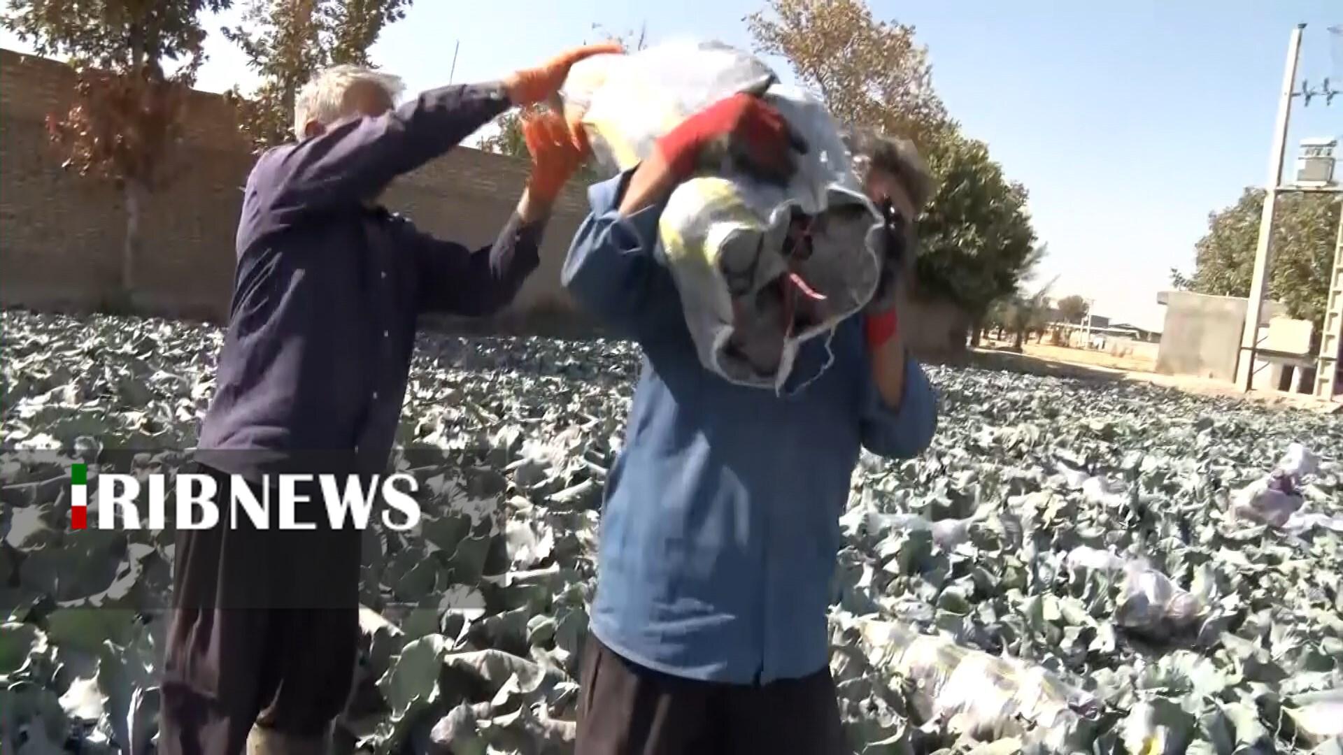 پیام سپاهان