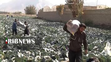 پیام سپاهان