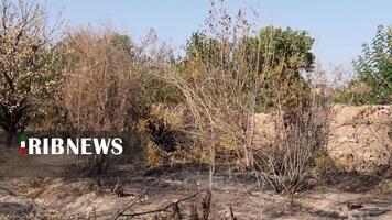 پیام سپاهان