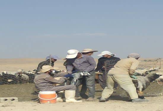 پیام سپاهان