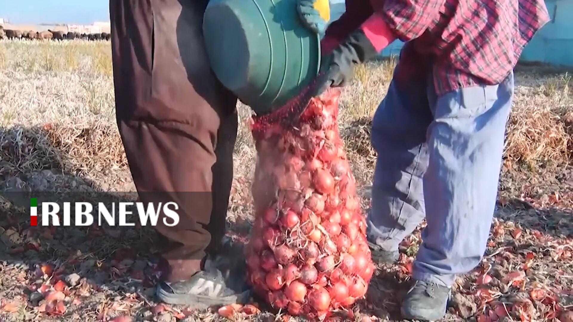 پیام سپاهان