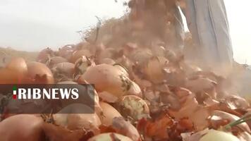 پیام سپاهان